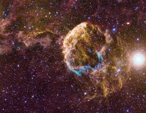 Scientists spot evidence of companion stars that blew up