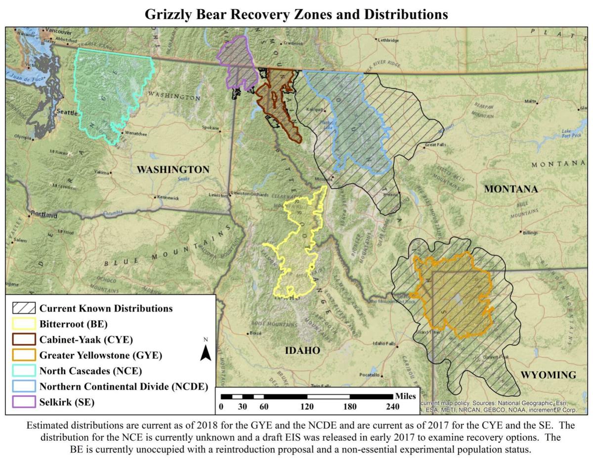 Grizzly Bear Recovery Areas