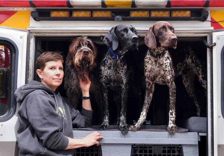 Stolen dreams: Local veterinarian reels after loss of prized dogs