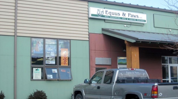 Equus and Paws