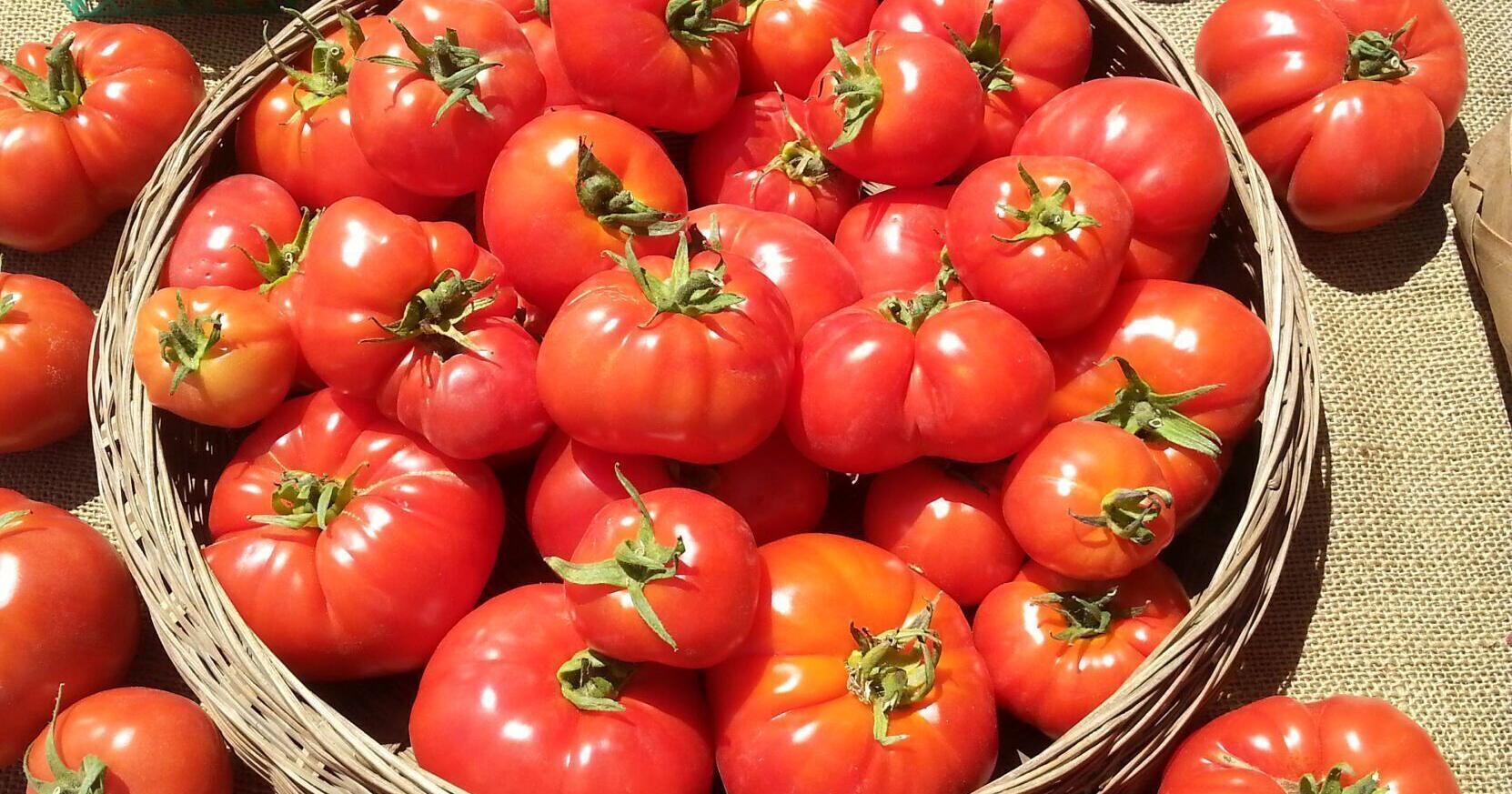Farmers markets thrive on pandemic momentum - Vimarsana News