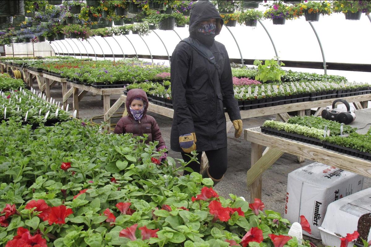 In rural U.S., fears of virus seem far away as stores reopen | State