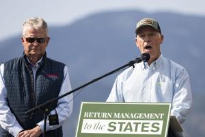 New grizzly bear rules renew debate over Endangered Species Act protections