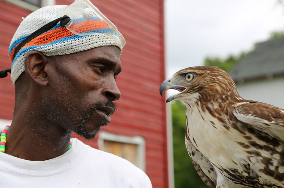 'The Falconer'