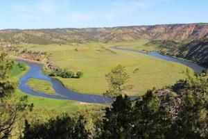 Wealthy Texas buyers drop complaint against Forsyth hunting outfitter