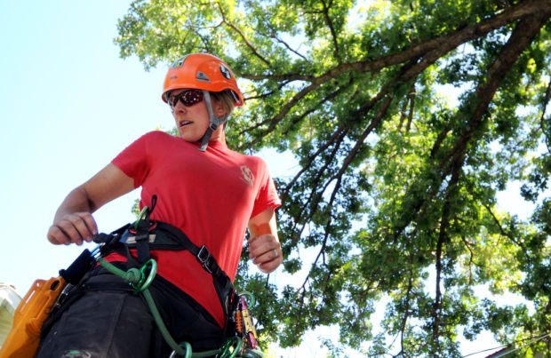 Missoula arborist heads to world tree climbing competition | Local News ...