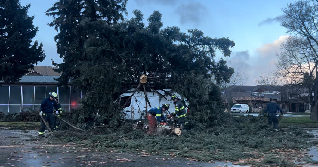 Windstorm knocks down power lines, downs trees in Missoula