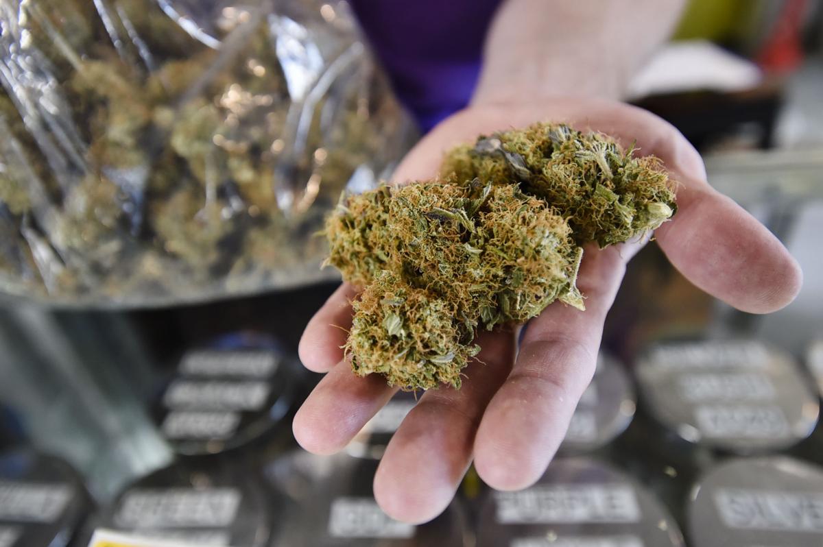 Medical marijuana buds