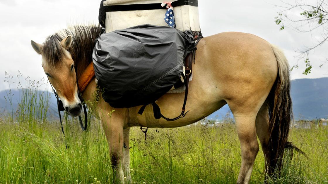 Get Evening Celebrating Bernice Ende Local News Missoulian Com For Free Get Wallpaper Evening Celebrating Bernice Ende Local News Missoulian Com For Android Free