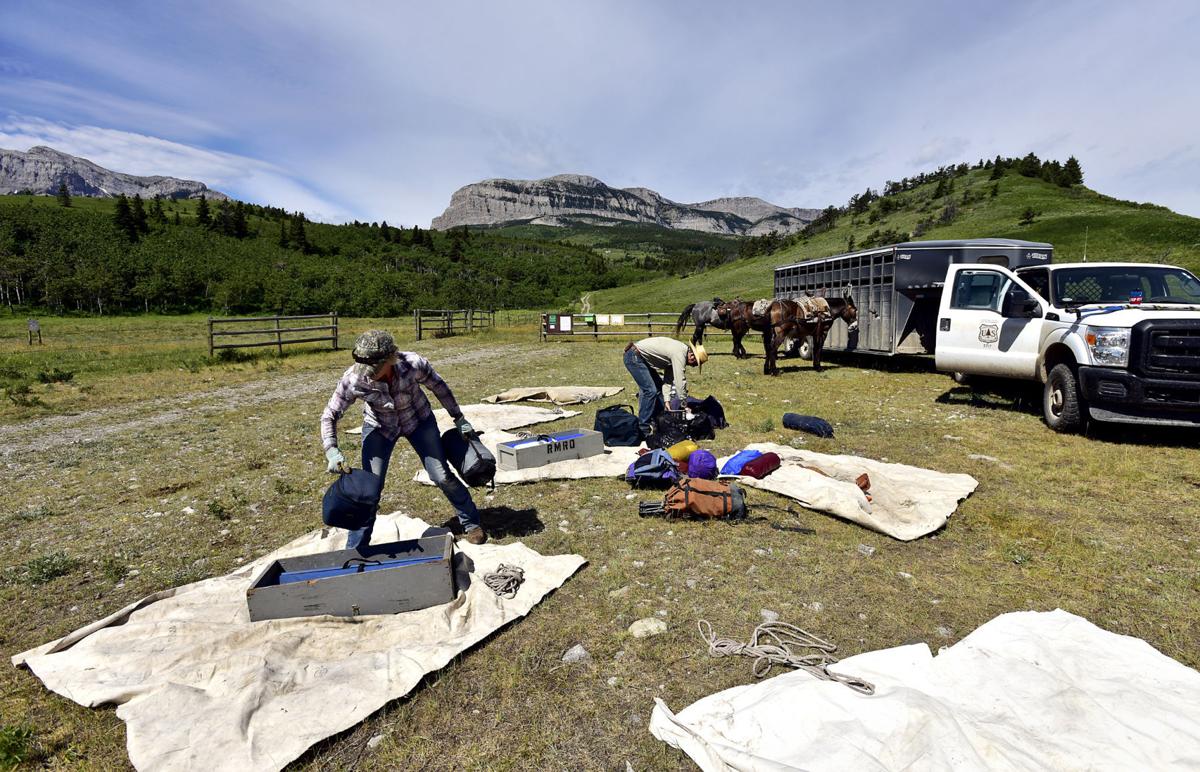 Learning the ropes Novice mule packer puts training to work Local
