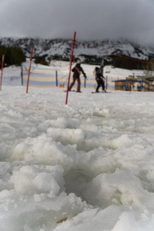 Snow droughts like 2026 more likely now, study involving MSU scientist finds