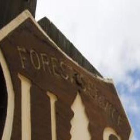 Download Free Usda Won T Jettison U S Forest Service Shield Logo State PSD Mockup Template