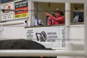 Billings man wins 'the Super Bowl of auctioneering'