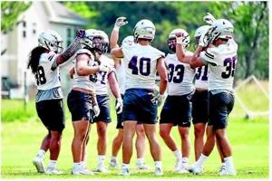 VETERAN LB GROUP LEADS THE DEFENSE