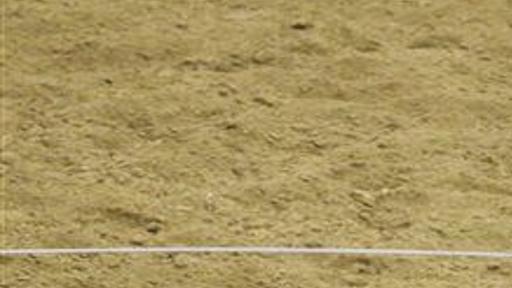Brazile Captures 23rd Prca Championship At National Finals Rodeo Local Sports Missoulian Com