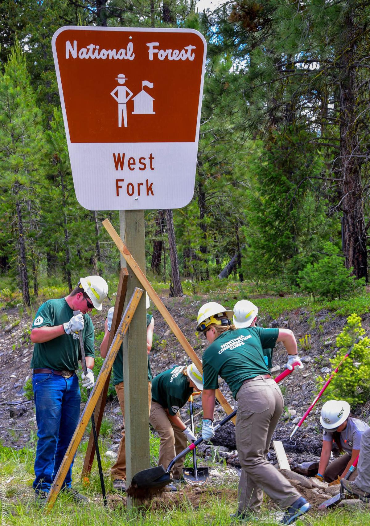 Resurrected Youth Conservation Corps benefits forest and teens Local