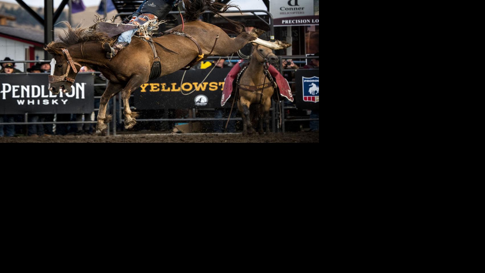 Feature photo Yellowstone Riggin' Rally brings 24 topranked bareback