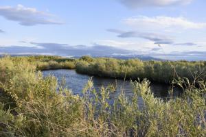 Audit of state's NRDP recommends changes to bid process for projects