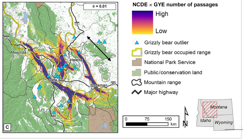 Potential grizzly bear linkage routes