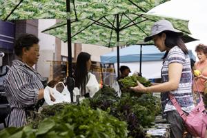 Farmers Market a fixture in Uptown Butte