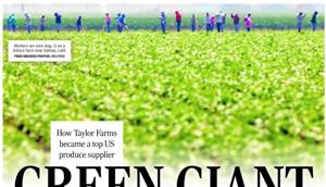 GREEN GIANT