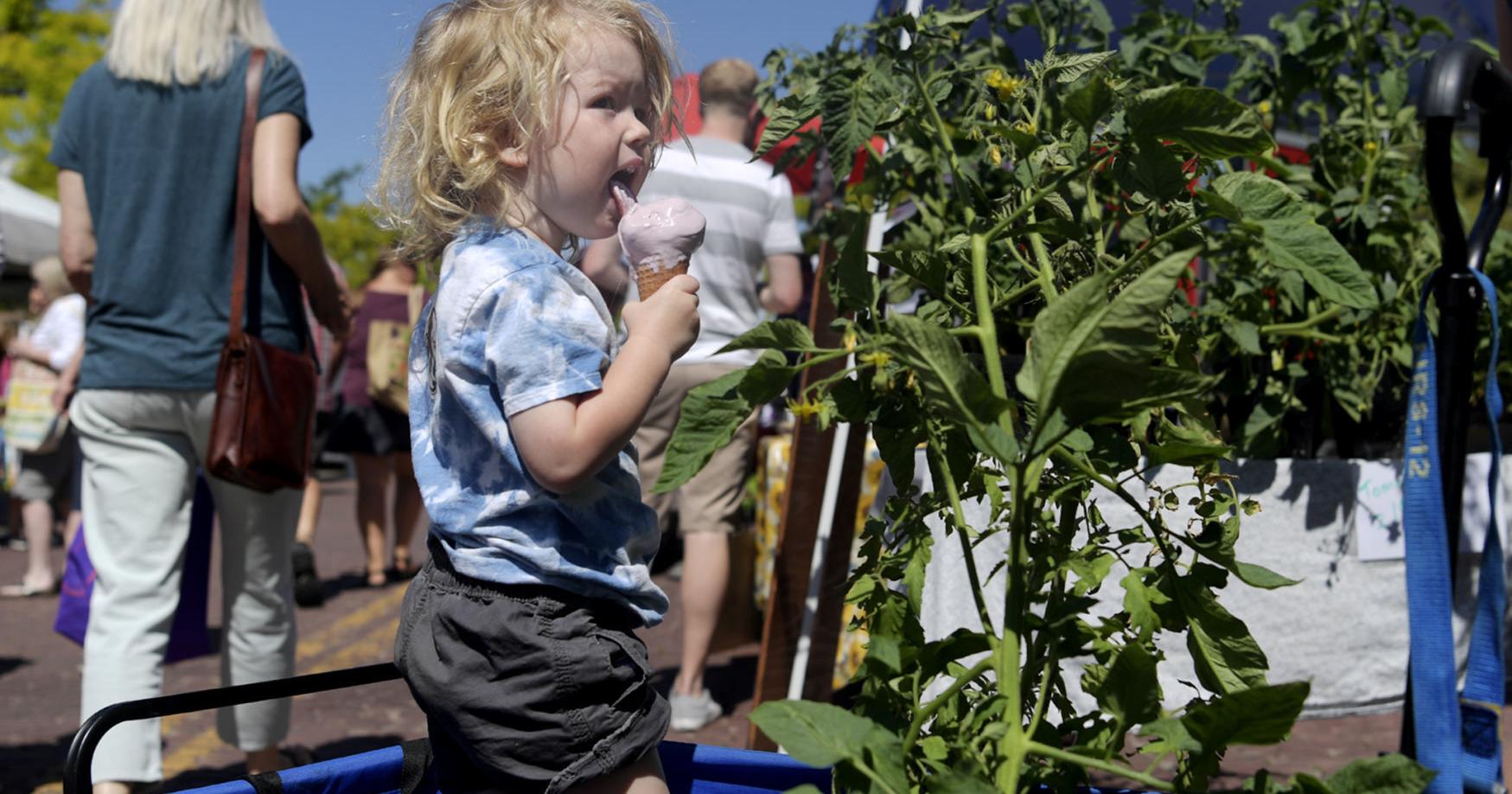 Missoula farmers markets kick off, Brewfest this weekend - Vimarsana News