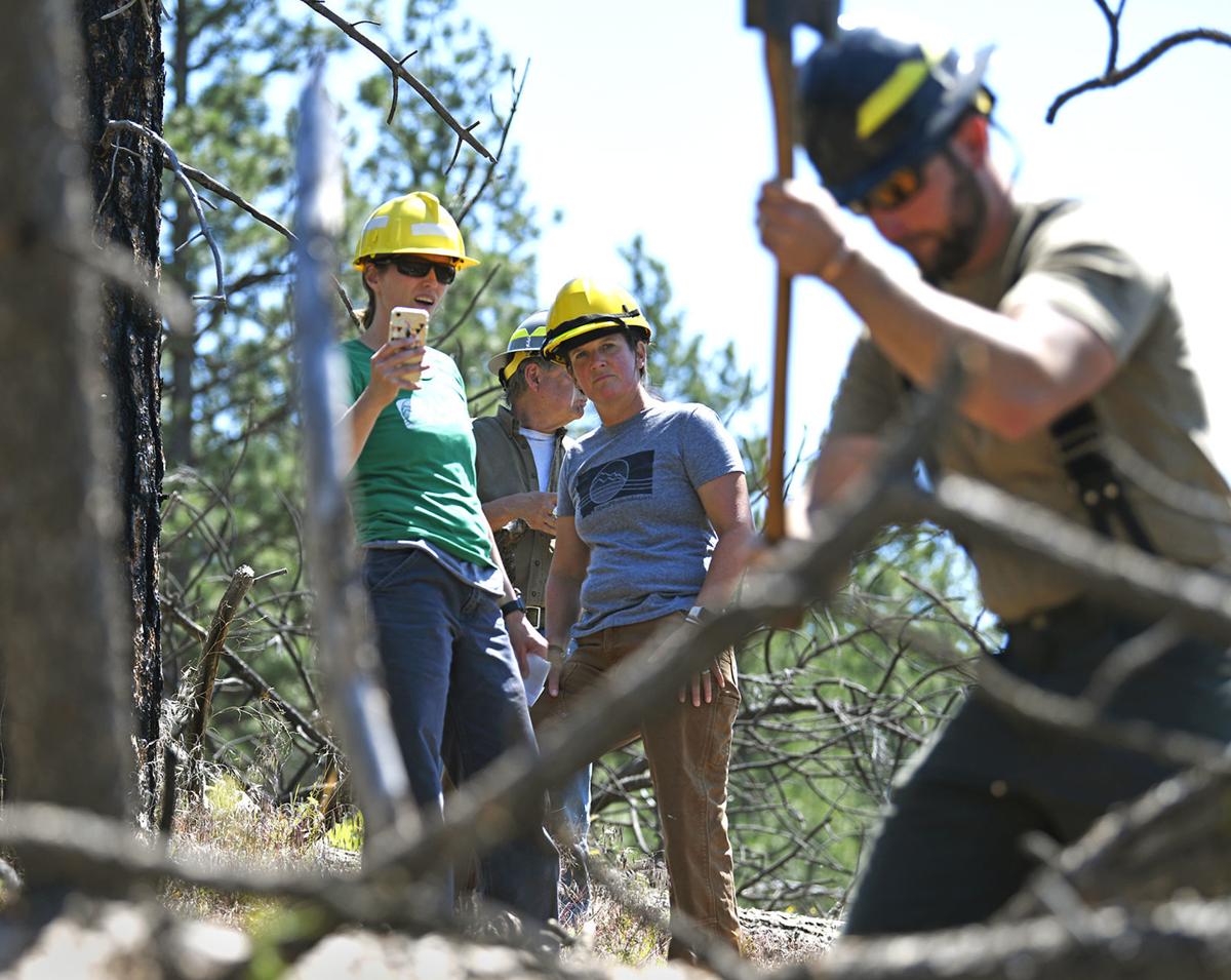 tactical athletes forest service adds pt to logging logging training