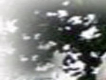 Peter Molenda Obituaries Missoulian Com Read past client reviews of laura and see how she is paid on customer satisfaction. missoulian