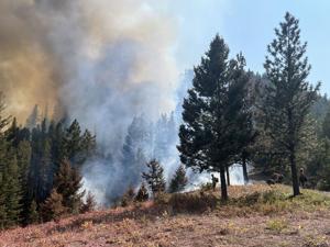 Elder fire reaches 44% containment in spite of weekend winds