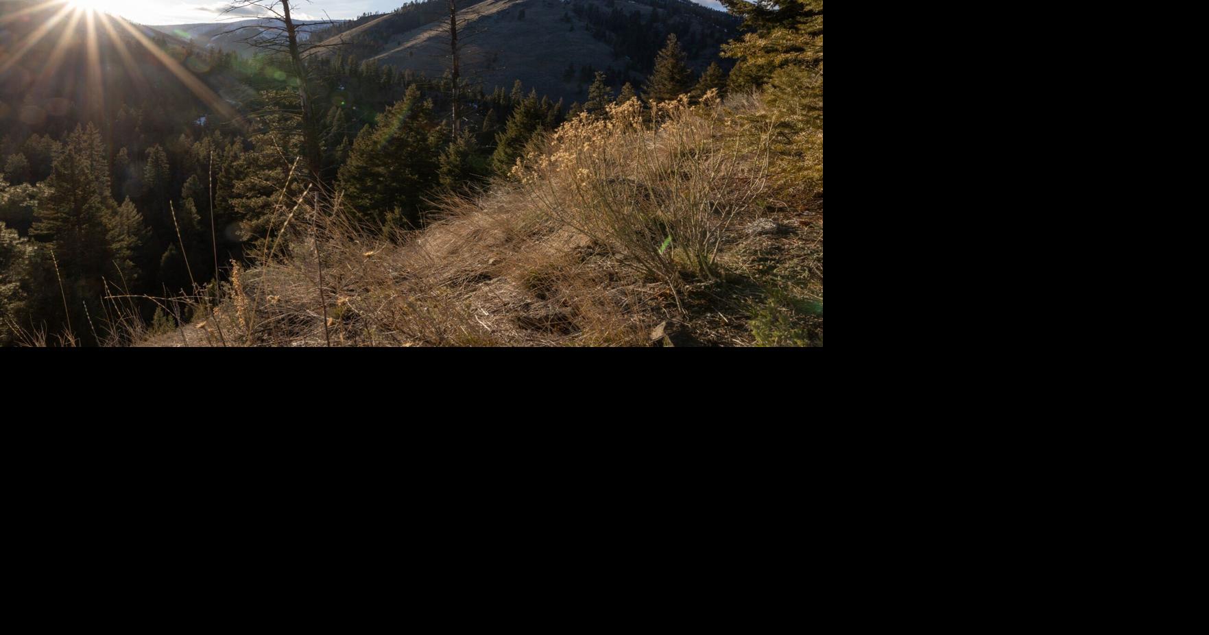 DEQ: Bitterroot mine exploration project needs OK from state