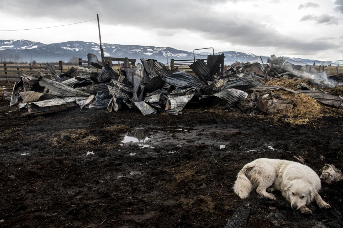 Barn Fire Devastates Arlee Family Local News Missoulian Com