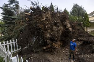 FEMA awards $2.5M to Missoula for 2024 windstorm damage