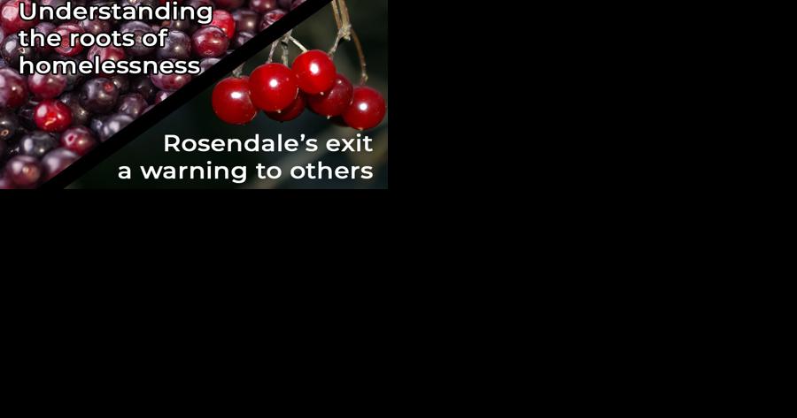 Clarity on homelessness, Rosendale exit a warning - Vimarsana News