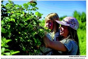 THOUSANDS OF LOST APPLES