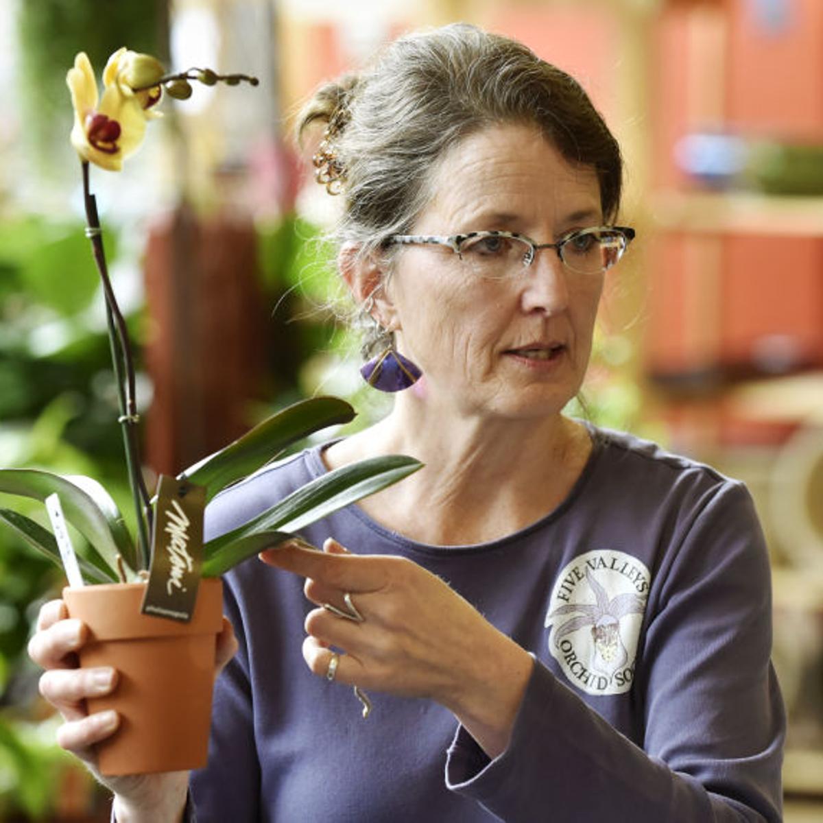 Flower Fans Meet In Missoula To Share Tips On Raising Orchids State Regional Missoulian Com