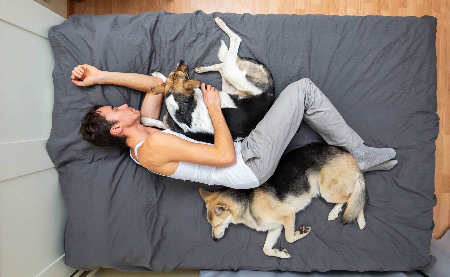 Man sleeps outlet with dog