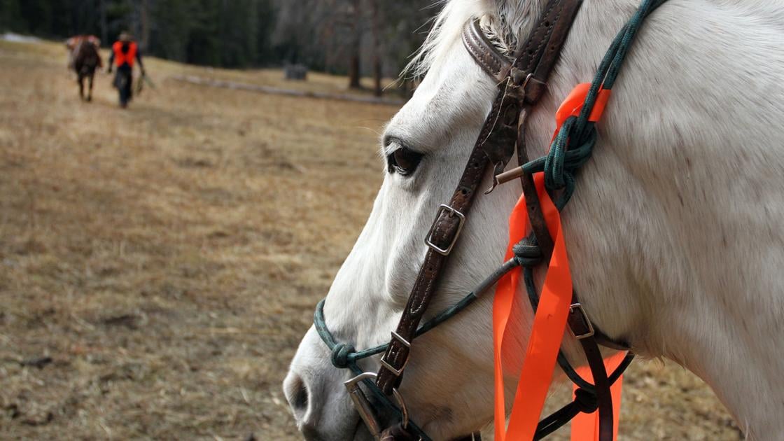 missoulian.com