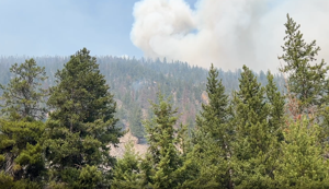 Wildfires in southwest Montana grow to a combined 23K acres