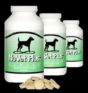 Equus and Paws