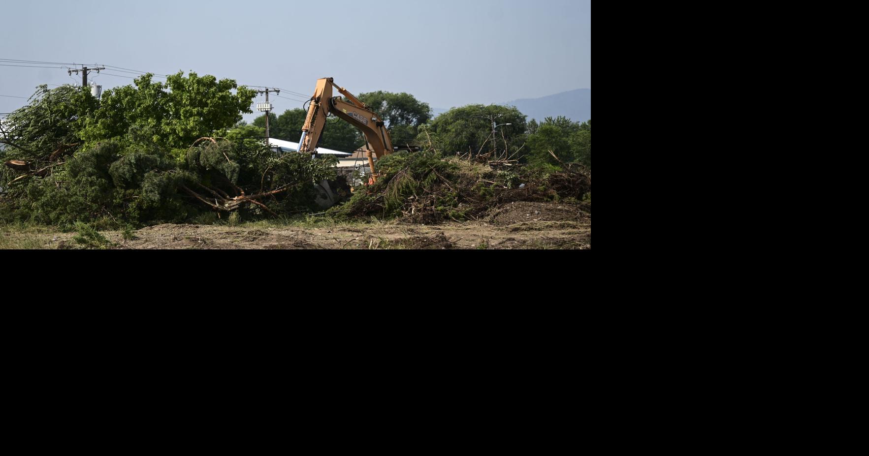 Tree Removal