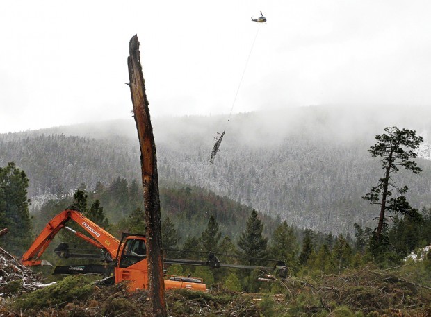 Thinning margins: Government agencies, loggers carefully weigh projects ...