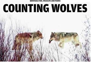 COUNTING WOLVES