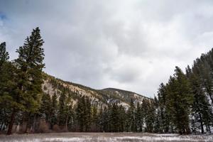 Feds to release plan to ax Forest Service's roadless rule