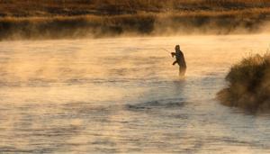Yellowstone National Park lifts many stream fishing restrictions