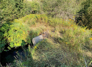 Officials set to restore portion of Marshall Creek owned by Missoula County