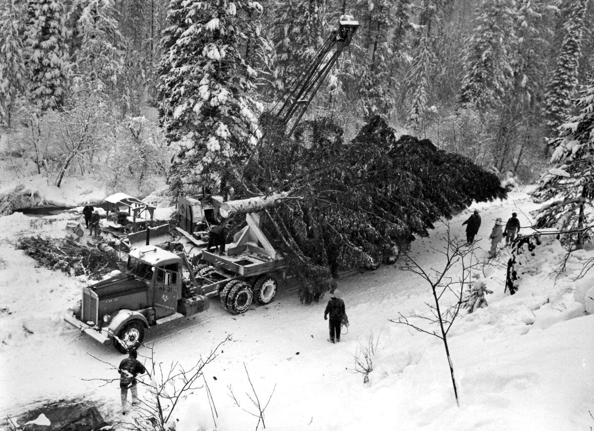 111717 1958 national christmas tree.jpg