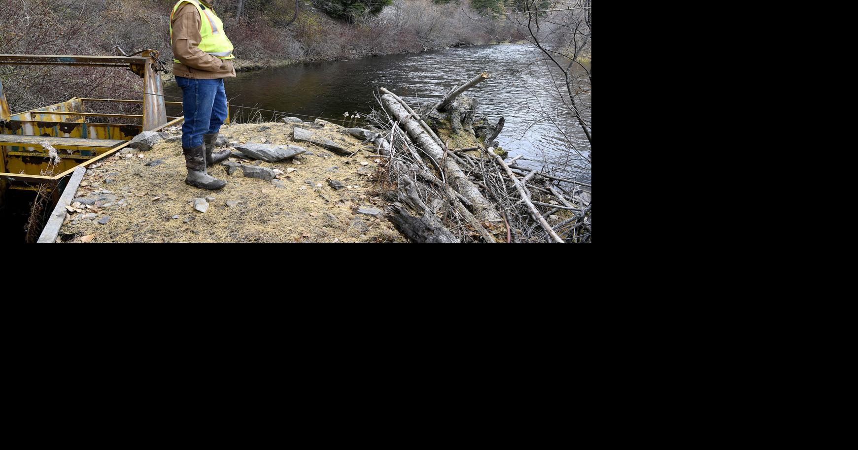Lolo Creek ditch screen saves thousands of fish | Local News