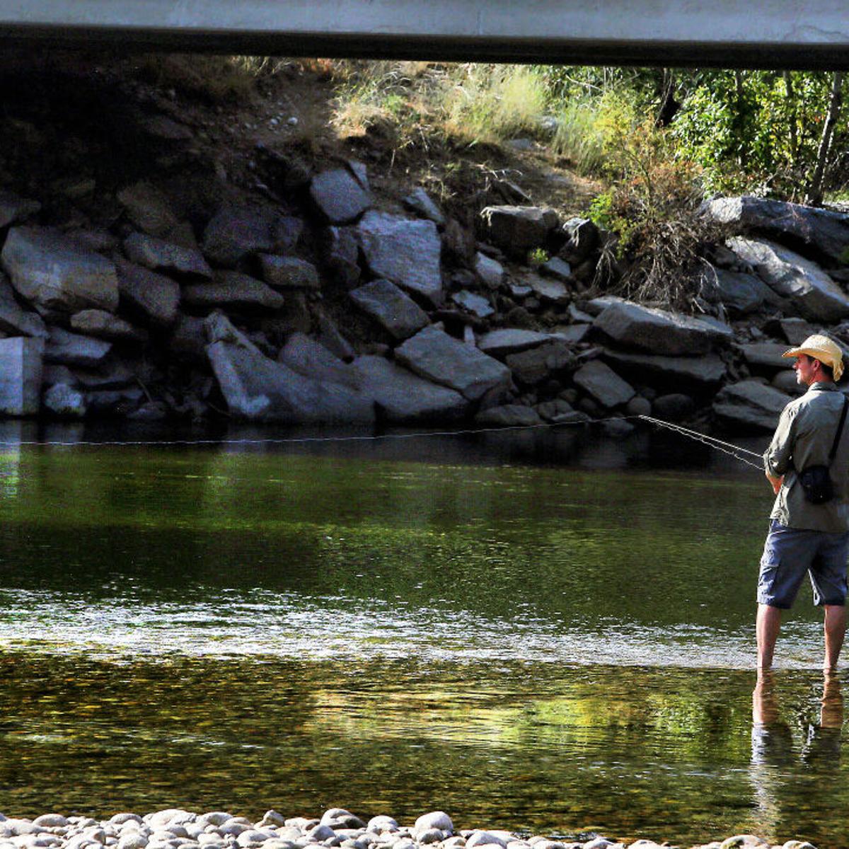 Bitterroot River Suffering From Low Flows High Temperatures Local News Missoulian Com Bitterroot River Suffering From Low Flows High Temperatures Local News Missoulian Com