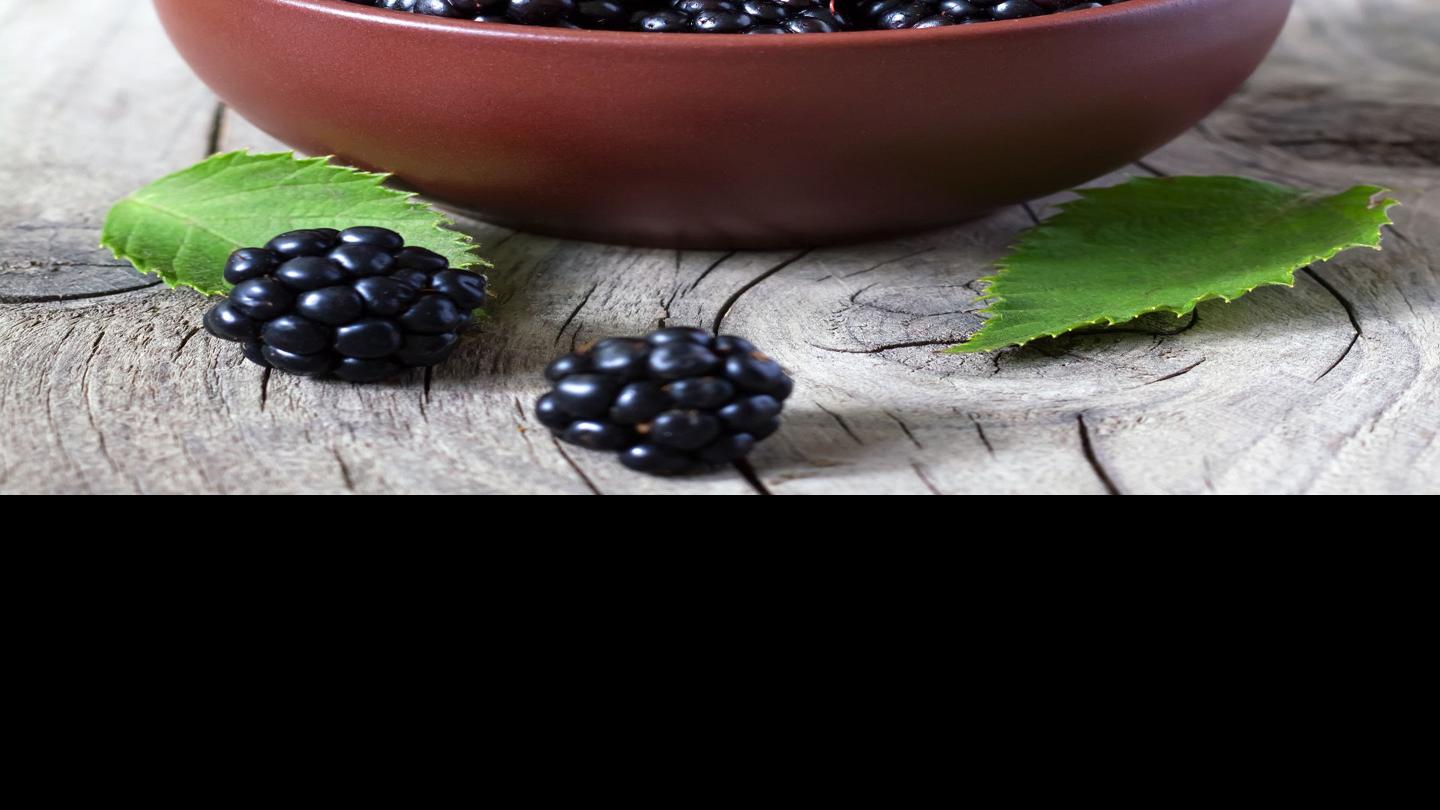 10 reasons to love blackberries | Food & Cooking | missoulian.com