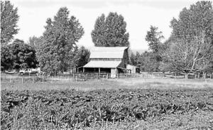 Victor farm owners honored with achievement award